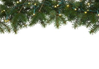 A black heartbeat line representing a vital sign, isolated on transparent background, symbolizing health and medical diagnostics