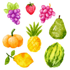 a bunch of fruit that are painted in watercolor