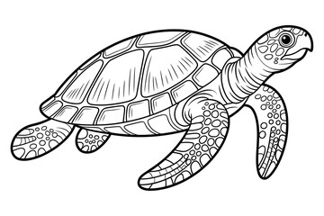 Fototapeta premium Sea turtle, detailed line art, black and white. 