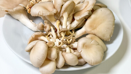 Mushroom medley blooms like forest whispers, invoking ancient Samhain feasts and umami-rich foraging festivals, ethereal fungi allure