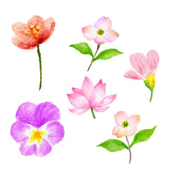 a set of four different flowers on a white background
