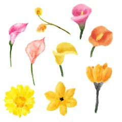 Gordijnen Geschilderde Bloemen a bunch of flowers that are painted in watercolor  © ngMinh