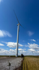 Towering wind turbine captures whispers of the sky, celebrating Global Wind Day amid serene,...