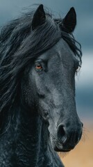 Obraz premium Majestic black horse with flowing mane stands against a dramatic sky at dusk in a scenic pasture