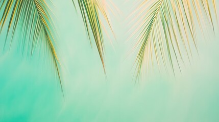 Obraz premium Tropical Palm Fronds on Teal Background Summer Vacation