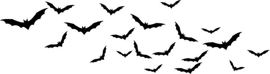 Silhouette of Flying Bats on White Background