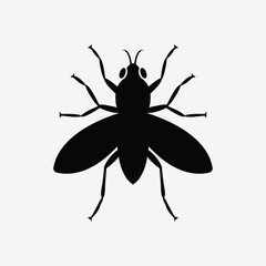 Detailed fly insect illustration in vector format, ideal for nature, science, biology, and educational projects. High-quality and ready for print or digital use