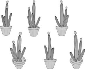 Vector sketch illustration of cactus houseplant design in pot for home interior decoration