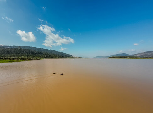 Aerial view of a ducks in a vast expanse of earth-toned water reflecting the azure sky, bordered by verdant hills under a bright, sunny sky, Biq`at Bet Netofa, Israel.