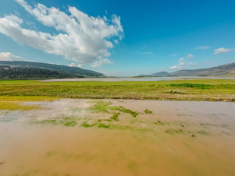 Aerial view of a serene landscape where murky waters meet vibrant green fields under a vast blue sky dotted with fluffy white clouds, Biq`at Bet Netofa, Israel.