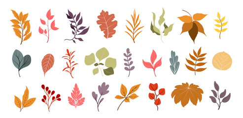 A set of simple twigs and leaves in autumn colors on a white background. Decorative elements. Vector.