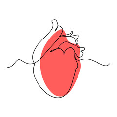 Heart on a white background. Human organ in LineArt style.

