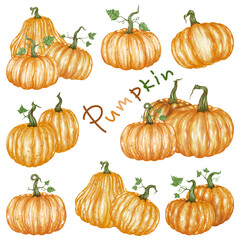 A collection of pumpkin watercolor graphics, versatile for use as Halloween decorations, stickers, illustrations, paper designs, Halloween elements, scrapbooks, digital prints, and more.