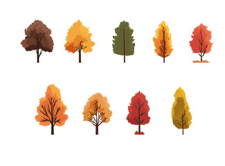 Set of colorful autumn trees illustration, fall foliage in red, orange, yellow and brown tones, seasonal nature clipart collection
