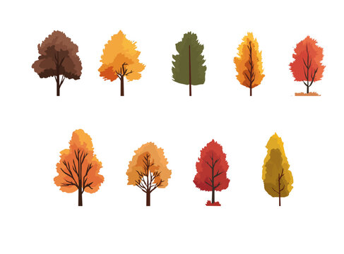 Set of colorful autumn trees illustration, fall foliage in red, orange, yellow and brown tones, seasonal nature clipart collection

