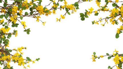  vibrant frame of yellow flowers and green leaves isolated on white background