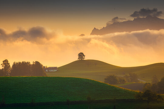 Rural scene of peaceful agricultural village with lonely tree on hill in the morning