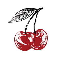 cherry fruit vintage hand drawing