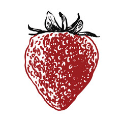 strawberry fruit vintage hand drawing