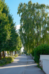 street view of wooden houses and road signs in Stavanger Norway urban travel photography,노르웨이 스타방에르의 목조 주택과 도로 표지판이 있는 도시 스트릿뷰 여행 사진