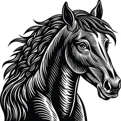 Majestic Horse Head Illustration Black and White Vector Art