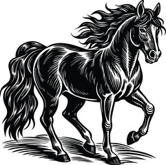 Majestic Stallion A Black and White Horse Illustration