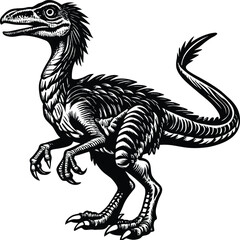 Troodon Dinosaur  Detailed Black and White Illustration