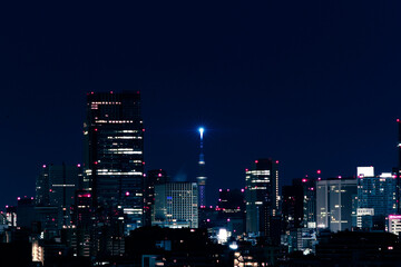 Beacon of Tokyo – Skytree Illuminated in Urban Skyline