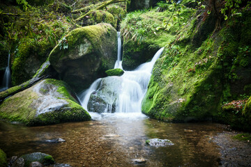 Mossy rocks surround a serene waterfall cascading into a clear forest pool. Black Forest, Germany
