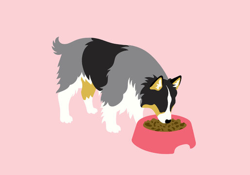 Illustration of a dog eating from a pink bowl on a light pink background. Illustration