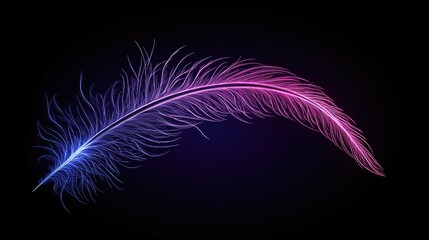 Vibrant feather design with gradient colors.