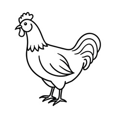 hen and rooster