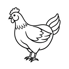 vector illustration of a chicken