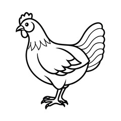 farm chicken line art vector illustration