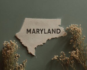 Authentic Modern Maryland State Map Concept for Educational and Regional Marketing Materials with Premium Visual Appeal for Digital and Print Use