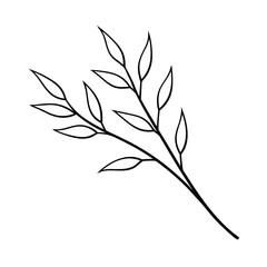 Fototapeta premium minimal willow plant branch drawing vector