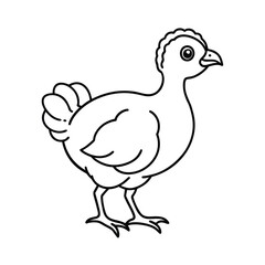 outlined baby turkey chick line art vector sketch