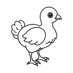 outlined baby turkey chick line art vector sketch