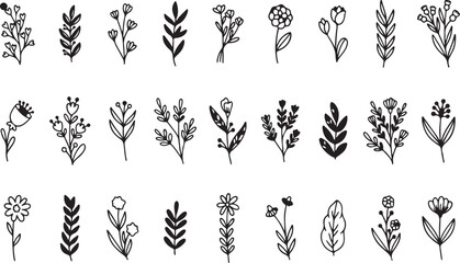 Floral Leaf Doodle Set, Botanical Hand Drawn Elements, Nature Sketch, Outline Plant Collection, Black and White Vector, Transparent Background