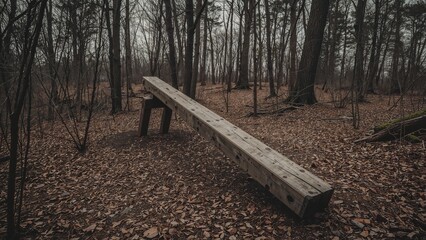 Fototapeta premium Rusty seesaw in a forgotten playground landscape
