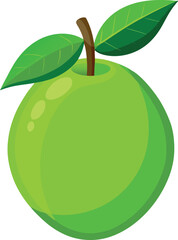 vector illustration of fruits 