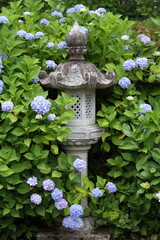 紫陽花に囲まれた石灯籠