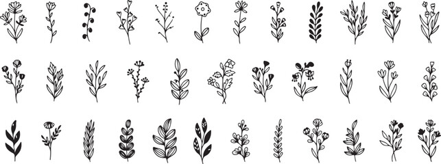 Floral Leaf Doodle Set, Botanical Hand Drawn Elements, Nature Sketch, Outline Plant Collection, Black and White Vector, Transparent Background