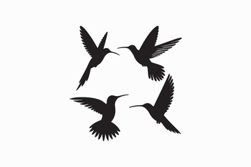 Hummingbird vector silhouettes black color image made by adobe illustrator .eps