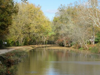 river in the park