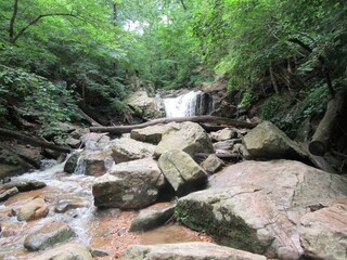 Waterfall and stream with rocks in the forest