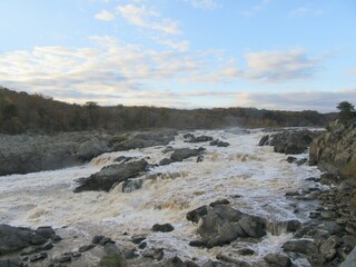 scenic waters flowing over rocks in the forest