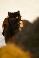 Iceland Landscape Photography