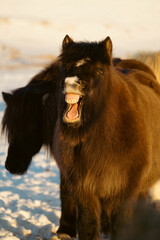 Iceland Landscape Photography