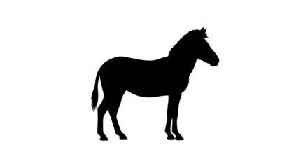Silhouette of a horse standing in a neutral pose, Black horse silhouette on white background with detailed features